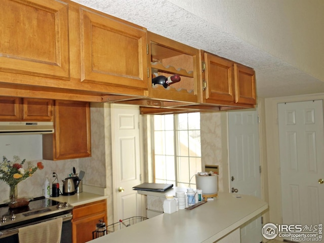 6036 Gunbarrel Ave Unit B, Boulder, CO 80301 - kitchen with light countertops, stainless steel electric range, brown cabinets, and extractor fan