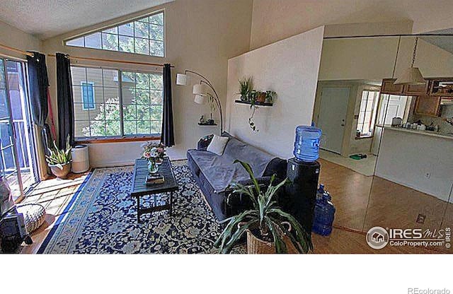 6036 Gunbarrel Ave Unit B, Boulder, CO 80301 - living room with a healthy amount of sunlight, a textured ceiling, and lofted ceiling