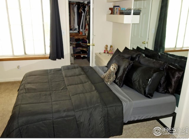 6036 Gunbarrel Ave Unit B, Boulder, CO 80301 - bedroom with a closet and carpet flooring