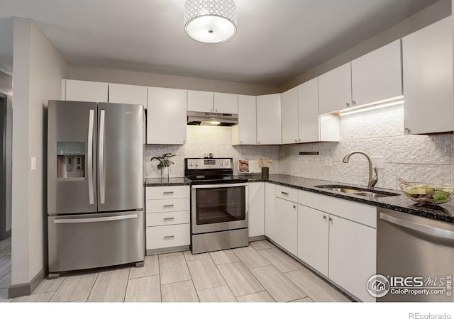 3785 Birchwood Dr, Boulder, CO 80304 - kitchen featuring under cabinet range hood, a sink, dark stone countertops, decorative backsplash, and appliances with stainless steel finishes