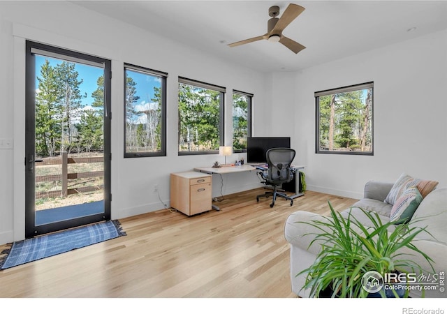 11 Juneau Cir, Nederland, CO 80466 - office with a healthy amount of sunlight, baseboards, ceiling fan, and light wood-style flooring