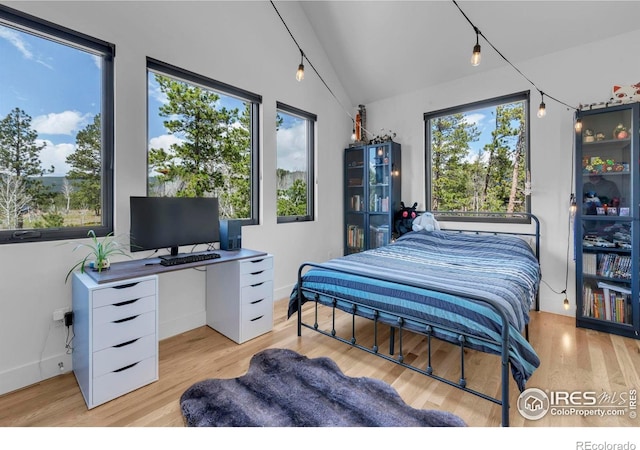11 Juneau Cir, Nederland, CO 80466 - bedroom featuring vaulted ceiling and light wood-style flooring