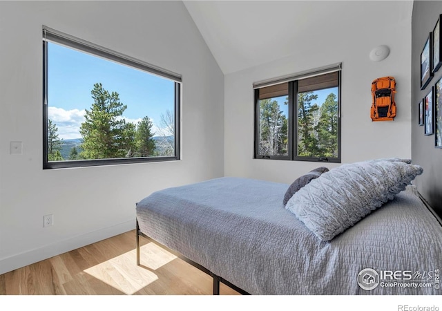 11 Juneau Cir, Nederland, CO 80466 - bedroom featuring baseboards, wood finished floors, and vaulted ceiling