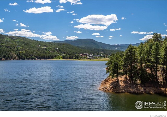 11 Juneau Cir, Nederland, CO 80466 - water view with a view of trees and a mountain view