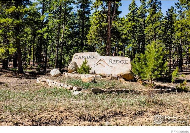 11 Juneau Cir, Nederland, CO 80466 - view of community / neighborhood sign