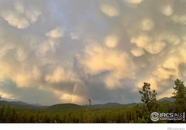 11 Juneau Cir, Nederland, CO 80466 - view of mountain backdrop