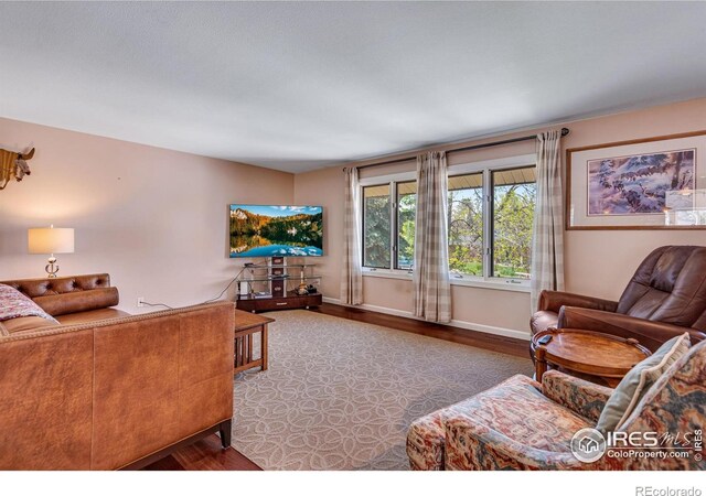 living room featuring wood finished floors and baseboards