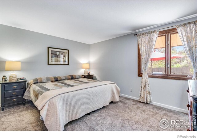 bedroom featuring carpet flooring and baseboards