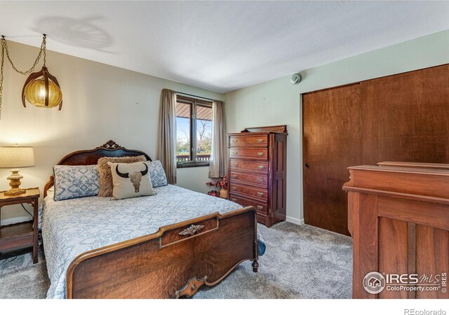 bedroom featuring carpet floors
