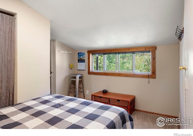 carpeted bedroom with baseboards and lofted ceiling
