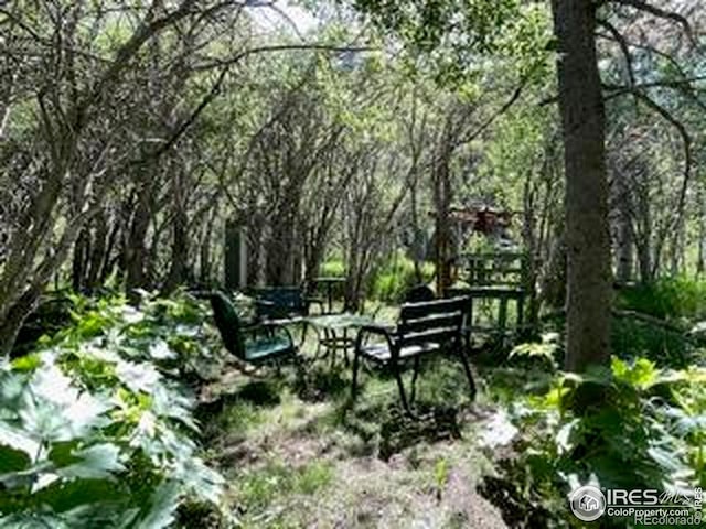 view of property's community with a wooded view