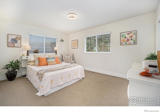706 W 29th St, Loveland, CO 80538 - photo 12