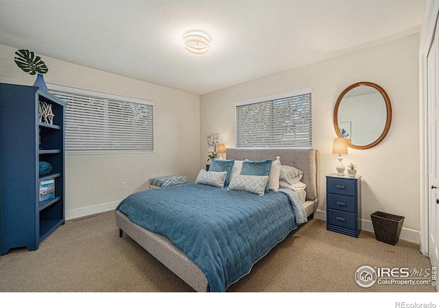 706 W 29th St, Loveland, CO 80538 - photo 14