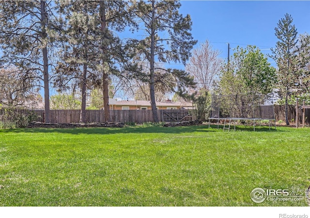 view of yard featuring a fenced backyard and a trampoline