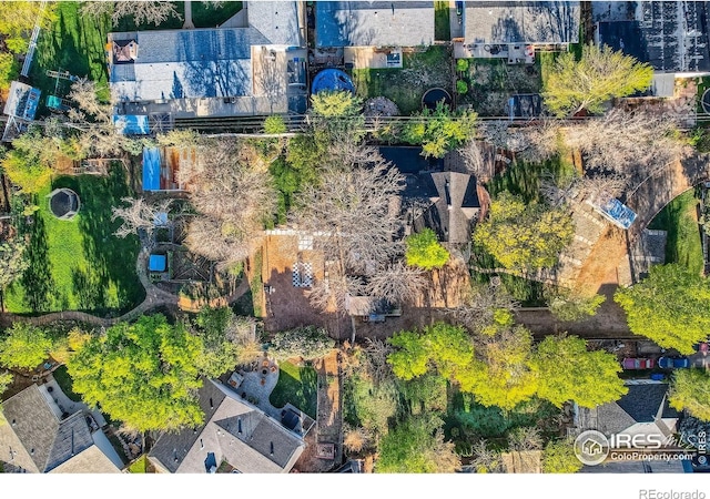 bird's eye view