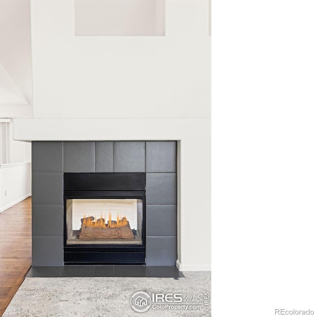 1507 Begonia Way, Superior, CO 80027 - detailed view of a multi sided fireplace and baseboards
