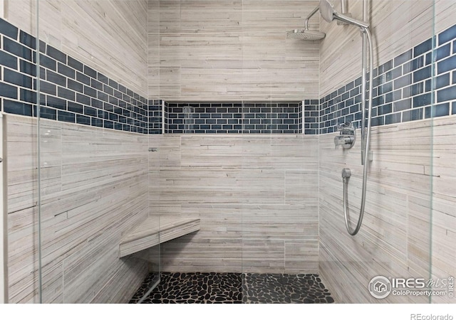 1507 Begonia Way, Superior, CO 80027 - full bath featuring a shower stall