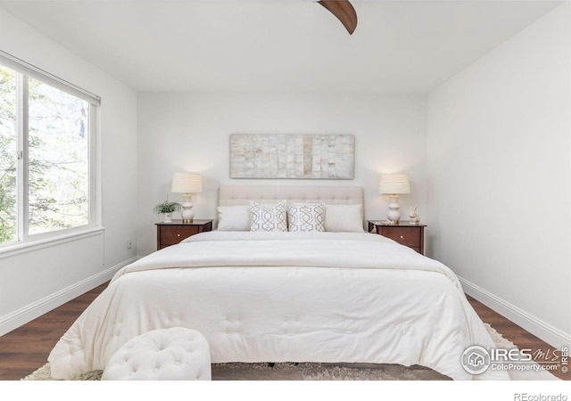 1507 Begonia Way, Superior, CO 80027 - bedroom with baseboards, multiple windows, and dark wood finished floors