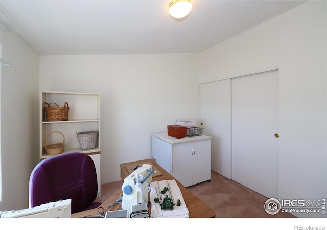 home office with carpet