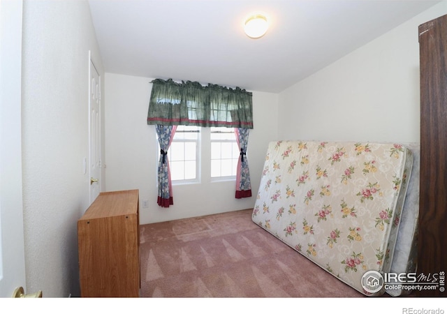 bedroom featuring carpet flooring