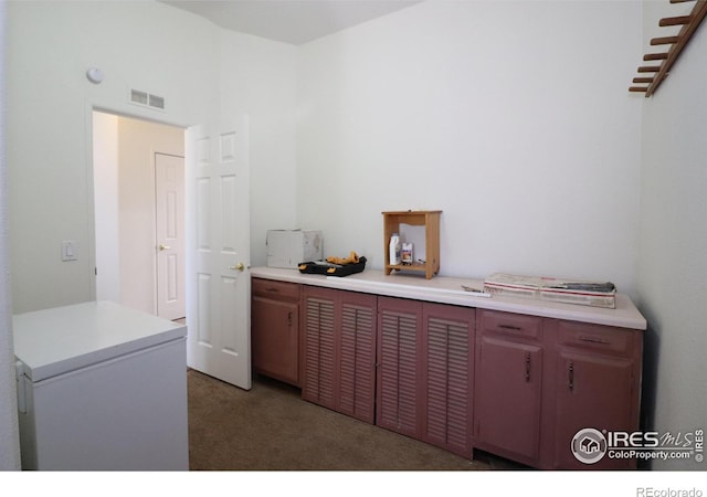 clothes washing area featuring light carpet and visible vents