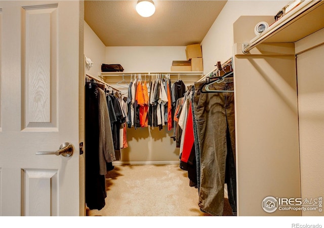 walk in closet featuring carpet floors