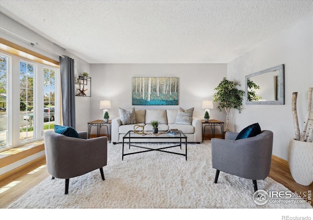 1309 Alexandria St, Lafayette, CO 80026 - living room with wood finished floors and a textured ceiling