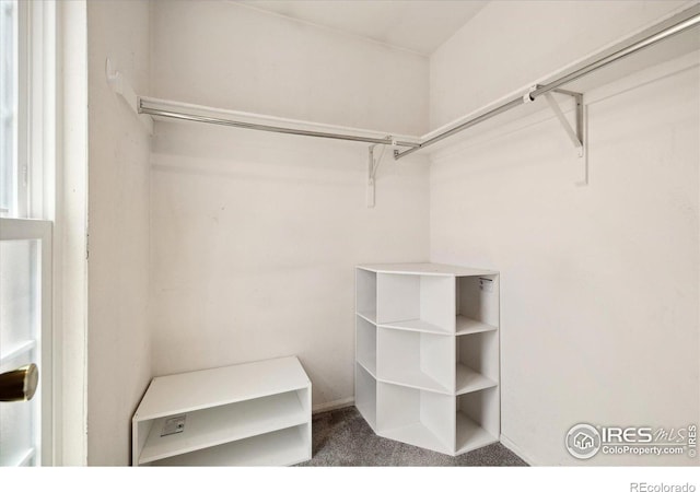 1309 Alexandria St, Lafayette, CO 80026 - spacious closet with carpet flooring