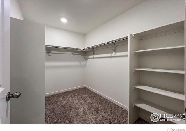 2325 Mountain Sky Dr, Fort Lupton, CO 80621 - spacious closet featuring carpet flooring