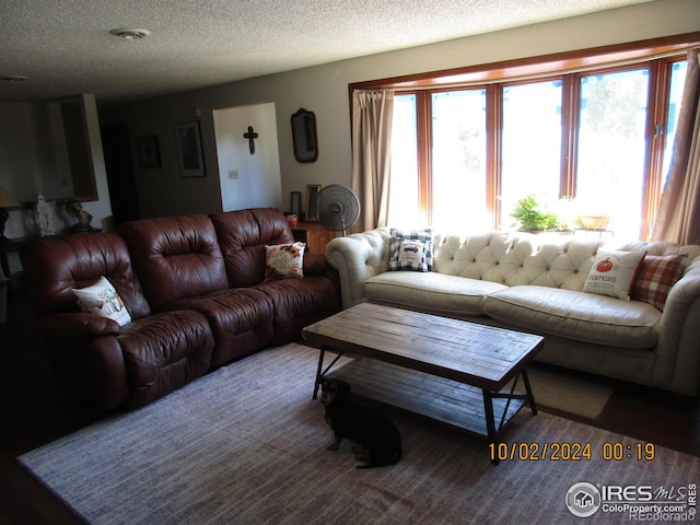 13969 County Road 33, Sterling, CO 80751 - living room featuring a textured ceiling