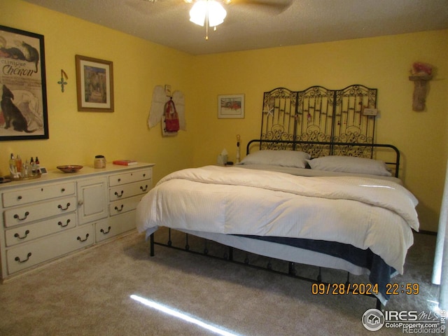 13969 County Road 33, Sterling, CO 80751 - carpeted bedroom with ceiling fan