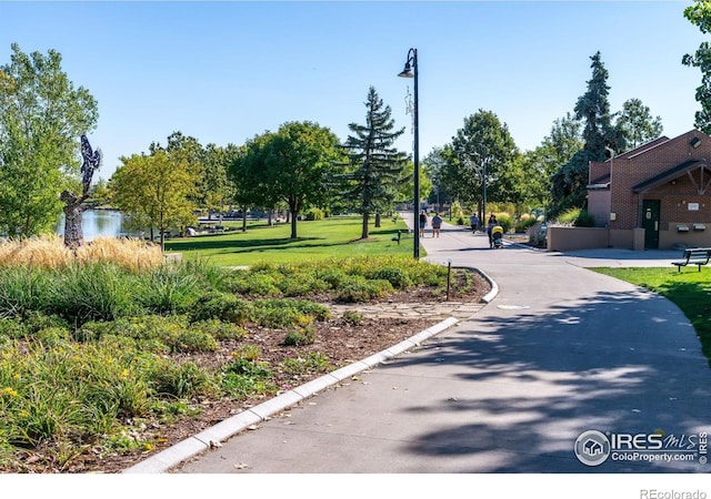 view of community featuring a yard