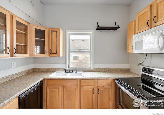 313 13th St, Greeley, CO 80631 - photo 8