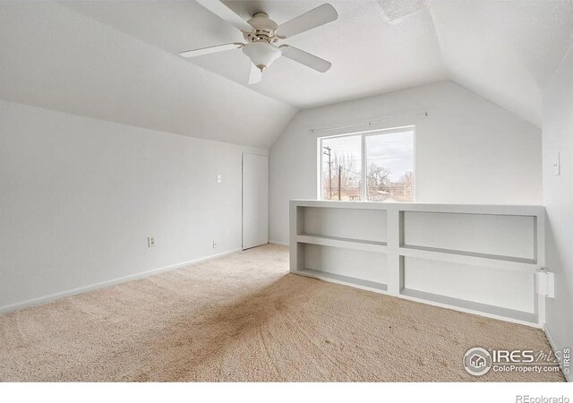 313 13th St, Greeley, CO 80631 - photo 11