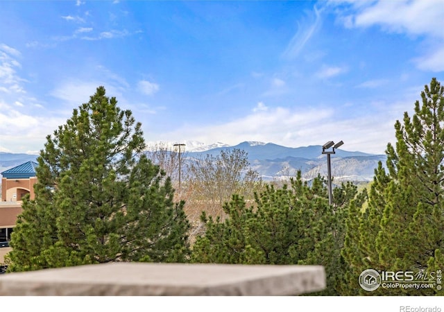 8919 Yates Dr, Westminster, CO 80031 - photo 24