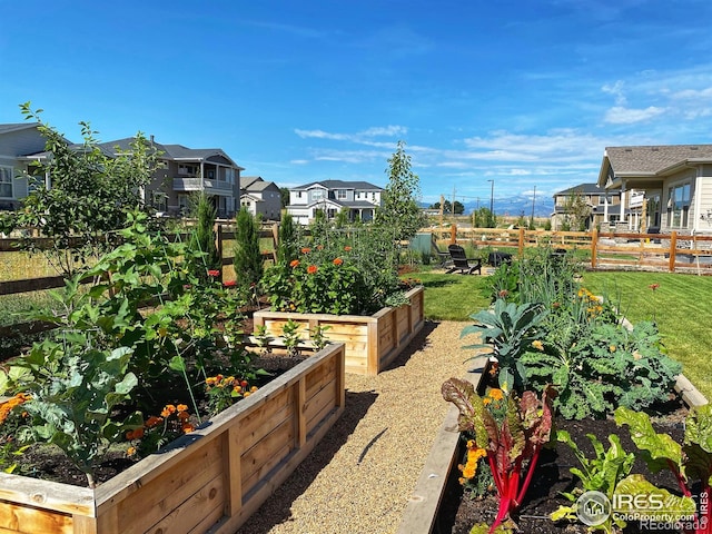 2482 Claystone Cir, Erie, CO 80516 - view of yard with a vegetable garden and a residential view