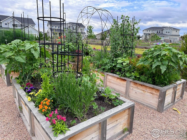 2482 Claystone Cir, Erie, CO 80516 - view of yard with a vegetable garden and a residential view
