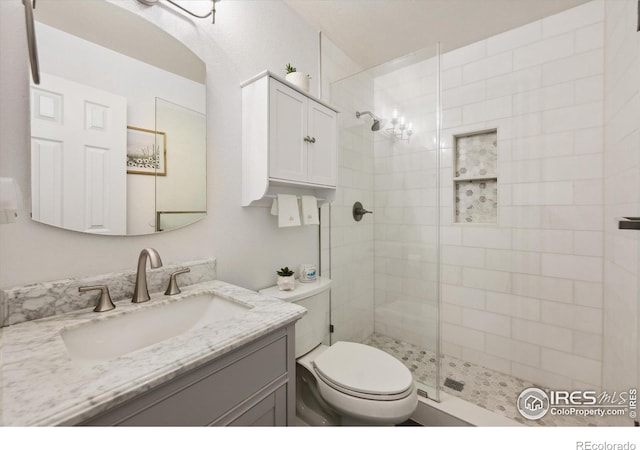 full bathroom with vanity, toilet, and a tile shower