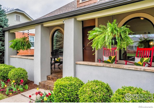 doorway to property with stucco siding, roof with shingles, and covered porch