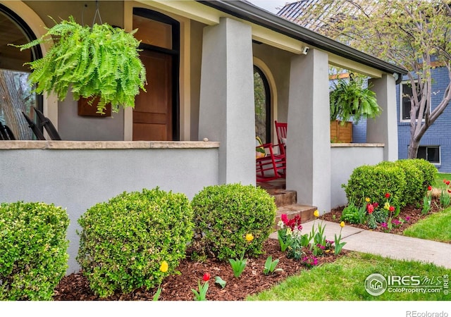 doorway to property featuring stucco siding