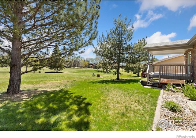 view of yard with a deck
