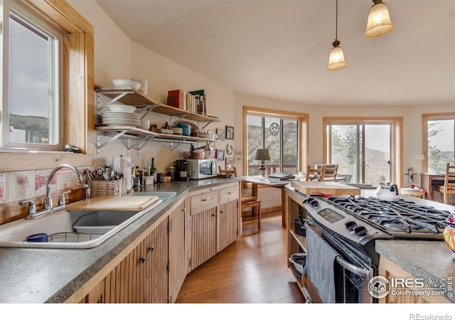 kitchen featuring open shelves, appliances with stainless steel finishes, light wood-type flooring, and a sink