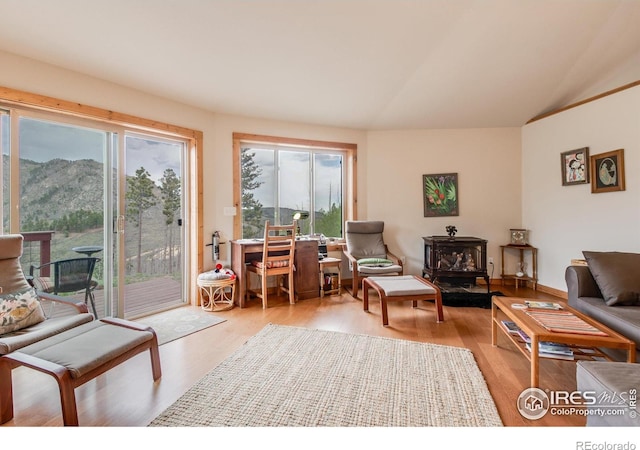 living area featuring a wood stove, lofted ceiling, plenty of natural light, and wood finished floors