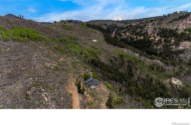 birds eye view of property featuring a mountain view