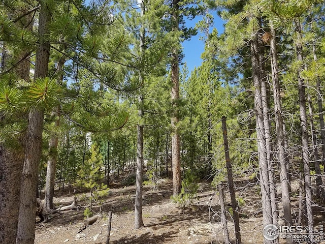 274 Arapahoe Way, Red Feather Lakes, CO 80545