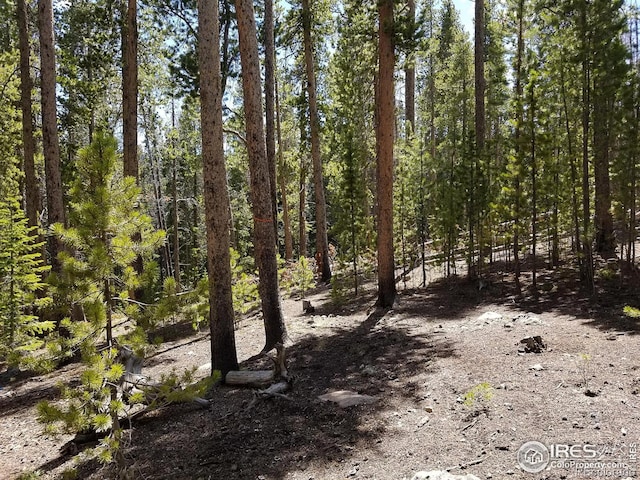274 Arapahoe Way, Red Feather Lakes, CO 80545