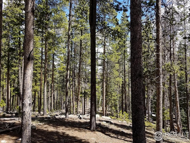 274 Arapahoe Way, Red Feather Lakes, CO 80545