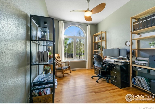 112 Cobble Dr, Windsor, CO 80550 - office with a textured wall, a ceiling fan, and wood finished floors