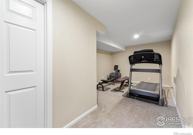 112 Cobble Dr, Windsor, CO 80550 - exercise room featuring carpet flooring and baseboards