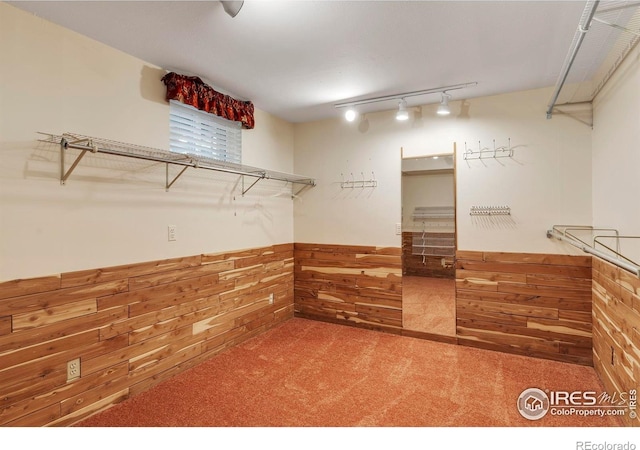 1629 Timber Ln, Boulder, CO 80304 - walk in closet featuring carpet